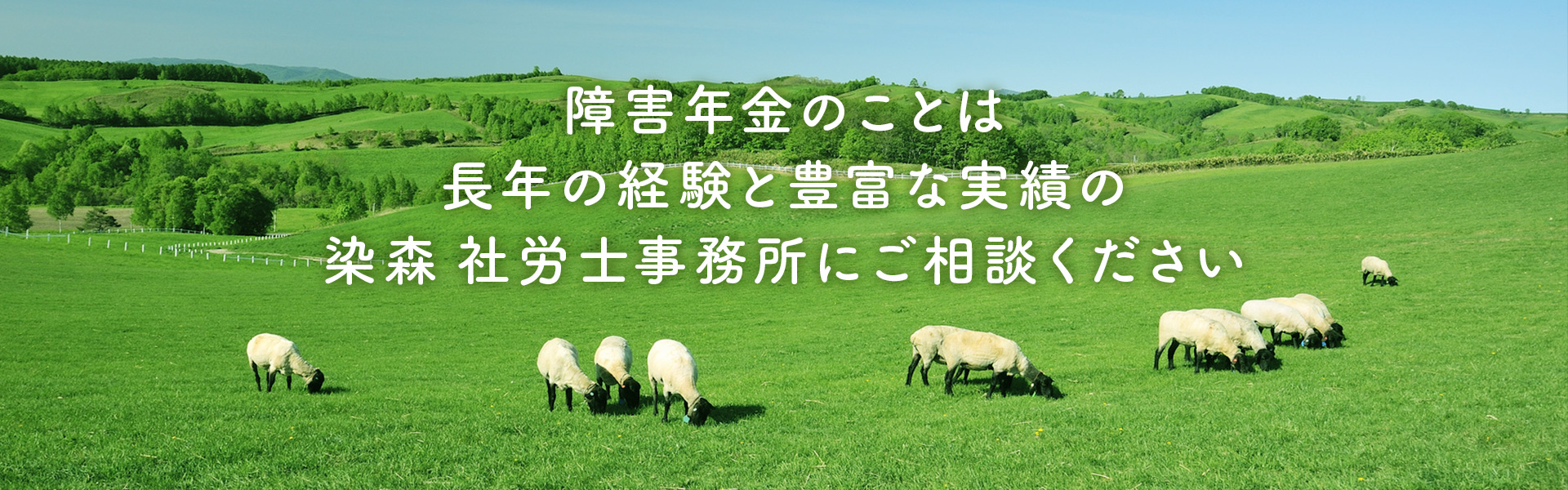 障害年金のことは長年の経験と豊富な実績の染森 社労士事務所にご相談ください
